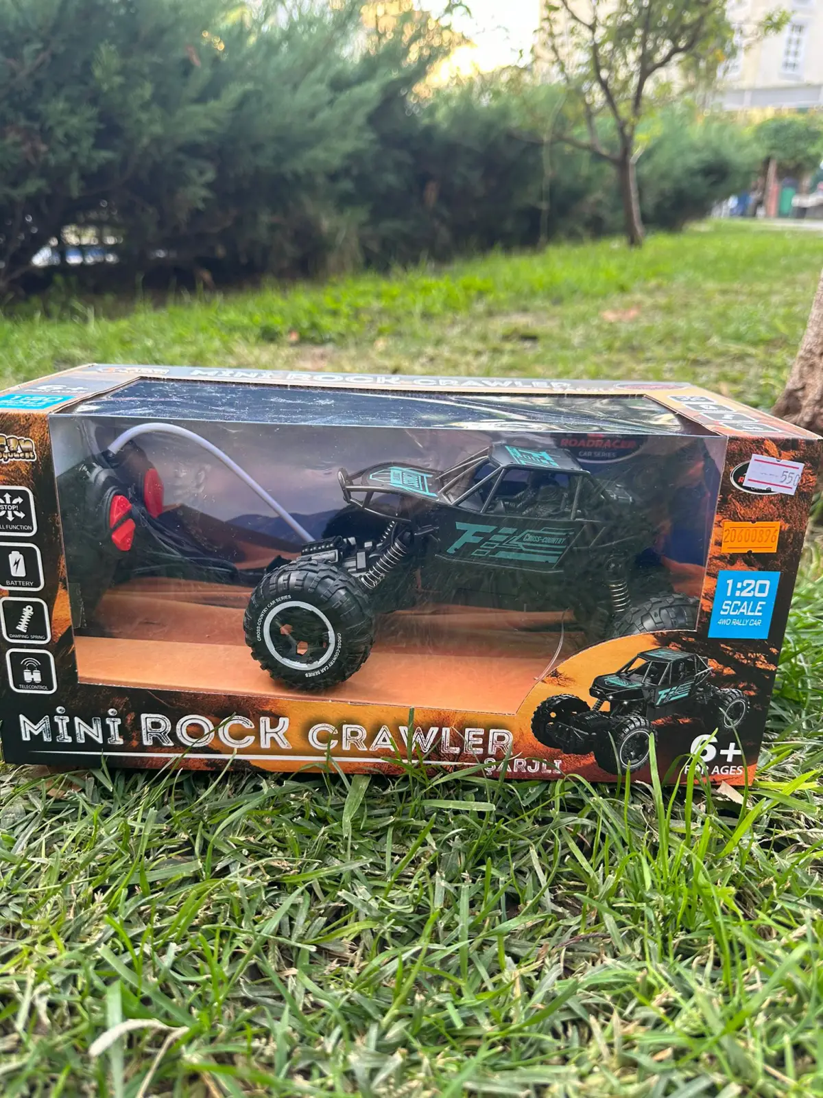 Mini sale rc crawler