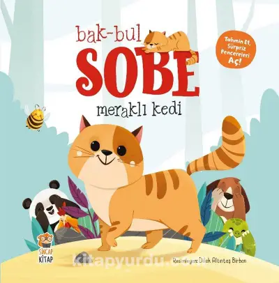 Sobe Meraklı Kedi